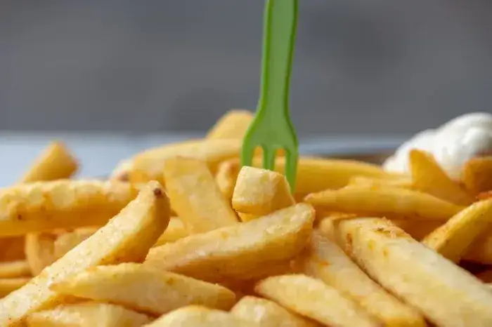 Zdjęcie Czy w frytkownicy beztłuszczowej można zrobić frytki z surowych ziemniaków? Sprawdź to!