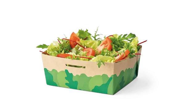 Ile kosztuje sałatka premium w McDonald's? Zaskakujące ceny i składniki